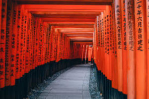 外国の方も夢中になる！　古都、京都の魅力とは!?